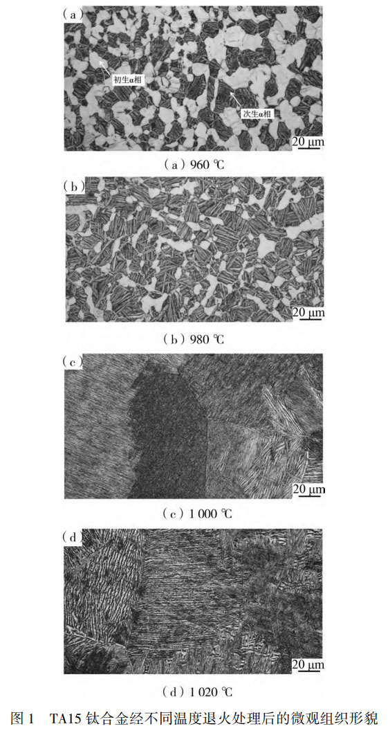1757905939425787.jpg 未標題-1.jpg