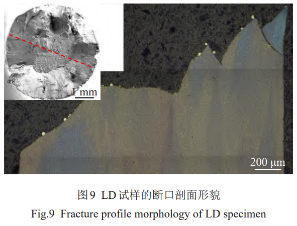 1757990959270920.png 截圖20250916103405.png