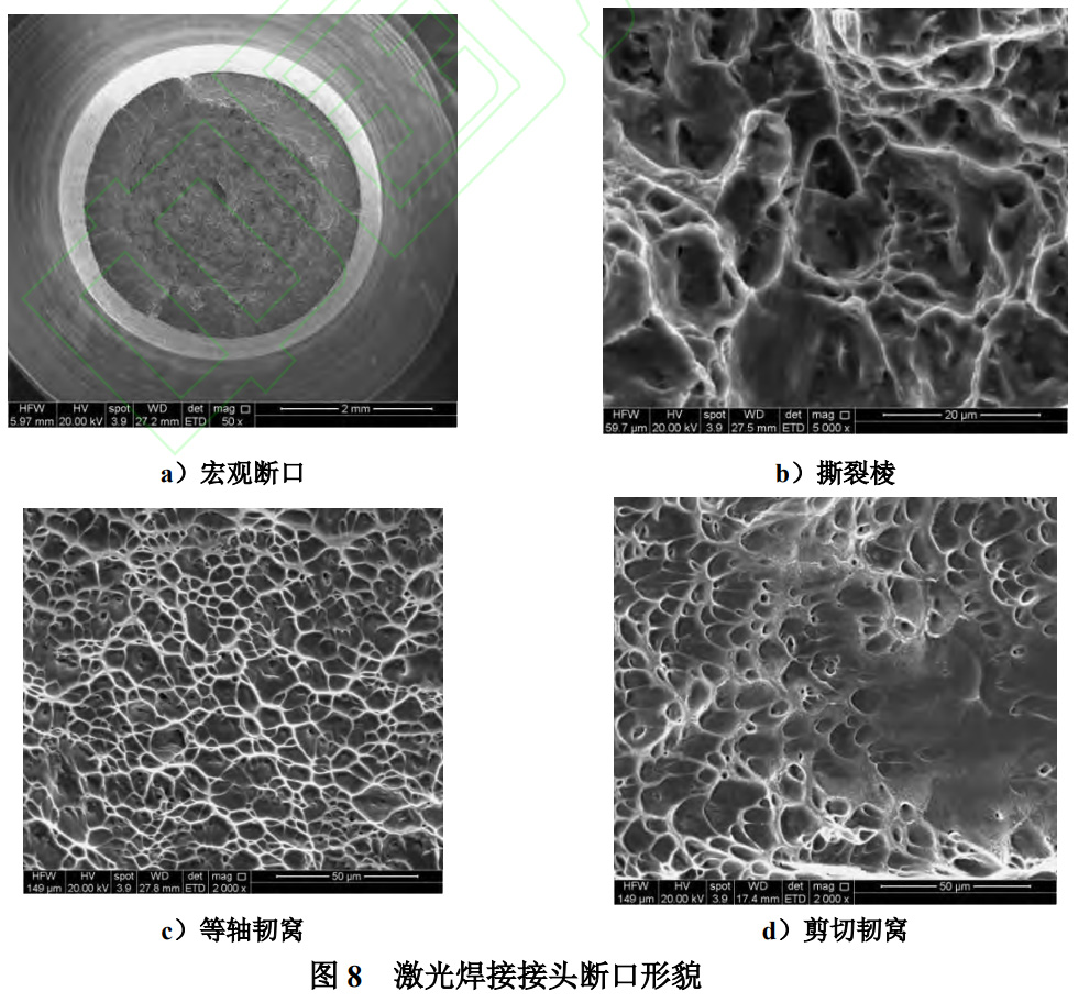 1766454862491320.jpg 8.jpg